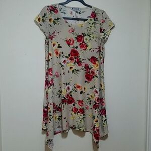 Wilde Women's Tunic/Dress